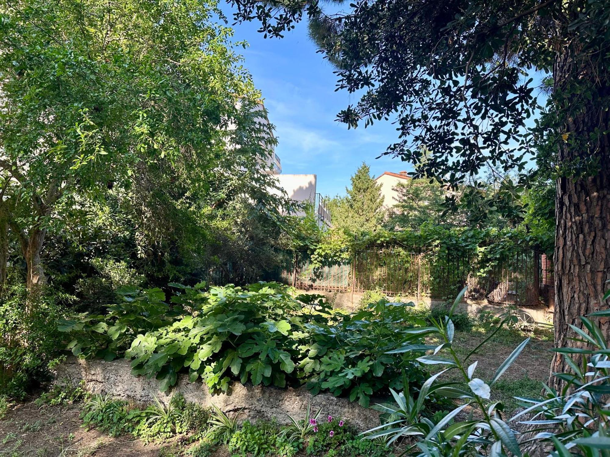 Appartement Avec Jardin Prive A 2Min De La Plage Banyuls-sur-Mer Zewnętrze zdjęcie